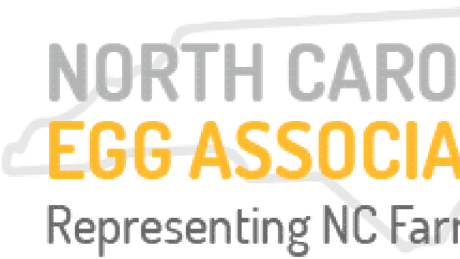 Group Banner Picture